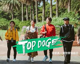 海角吃瓜网《TOP DOG》免费在线观看