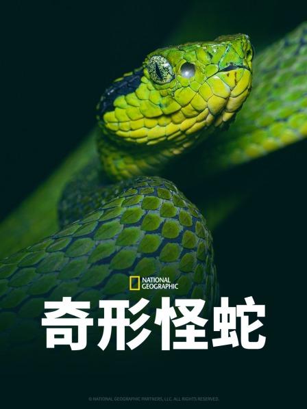 海角吃瓜黑料《奇形怪蛇》免费在线观看